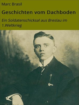 cover image of Geschichten vom Dachboden